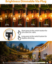 String lights with brightness control options and outdoor setting