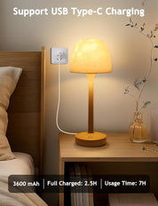 Table lamp with USB Type-C charging feature on a bedside table.