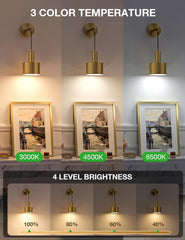 Three different color temperature settings of a wall light fixture with corresponding brightness levels.