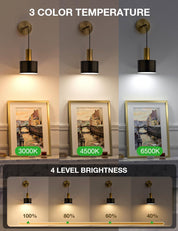 Three wall lights with different color temperatures and brightness levels on a neutral background.