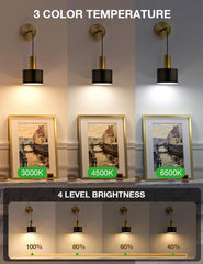 Three wall lights with different color temperatures and brightness levels on a neutral background.