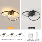 Two ceiling lights with color-changing options and control methods on a gray background.
