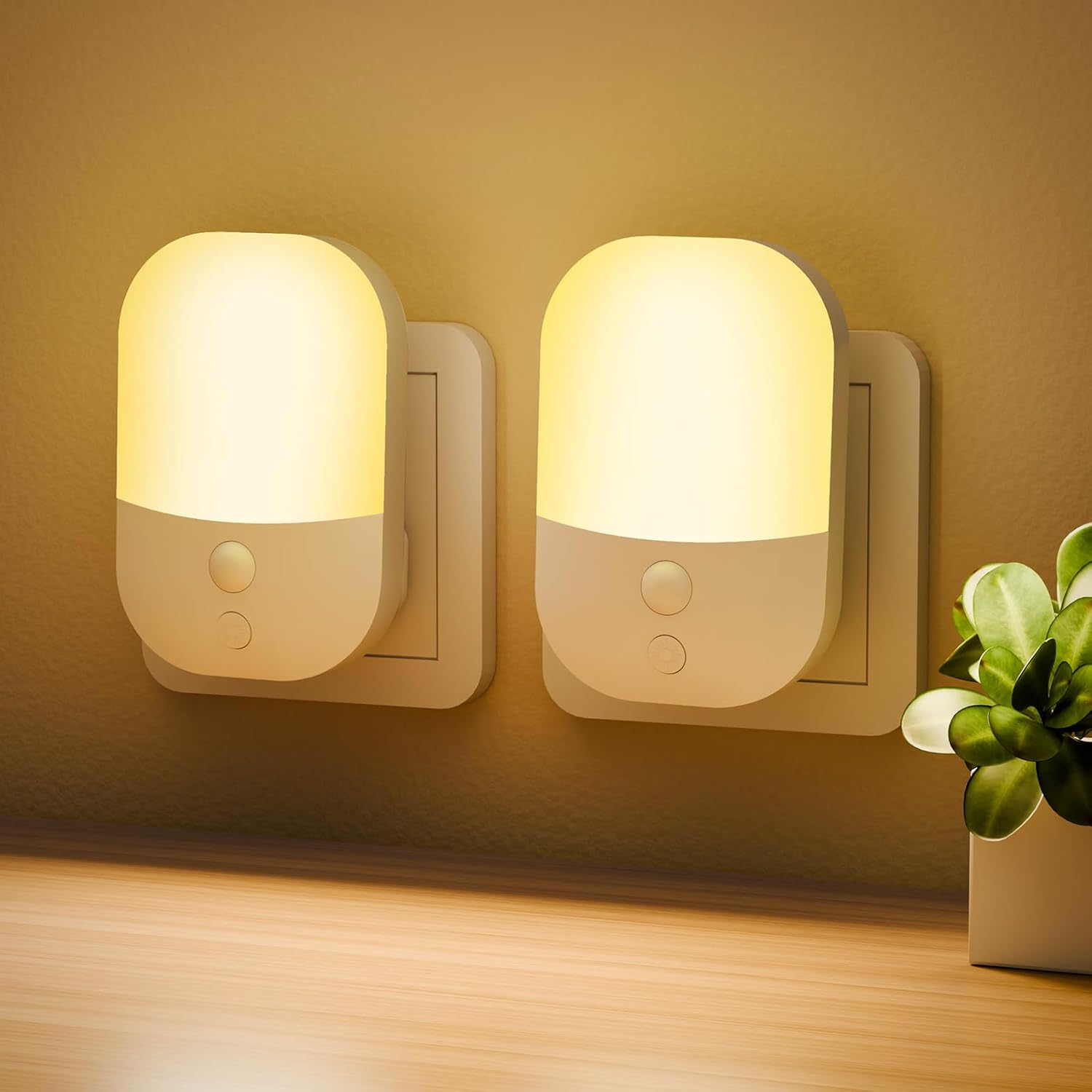 Two night lights on a wall with a plant in the foreground