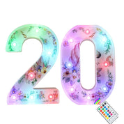 Unicorn LED Number Lights 20 Color Changing Remote