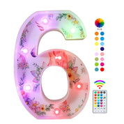 Unicorn LED Number 6 Light 18 Color Changing