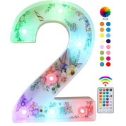 Unicorn LED Number Light 2 18 Color Remote