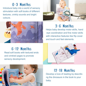 Richgv Soft Baby Books – Sensory Crinkle Toy with Mirror, Dinosaur & Hanging Stroller Gift