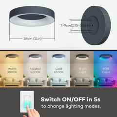 dimmable ceiling light with remote
