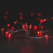 Battery Operated Micro Fairy Lights with 20 Red LEDs on Silver Wire for Indoor Decoration