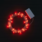 Battery Operated Micro Fairy Lights with 20 Red LEDs on Silver Wire for Indoor Decoration