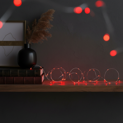 Battery Operated Micro Fairy Lights with 20 Red LEDs on Silver Wire for Indoor Decoration