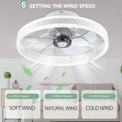 LED Ceiling Fan Light Dimmable Living Room Chandelier Lamp With Remote Control