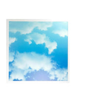 48W Sky Cloud Pattern LED Slim Panel Ceiling Light 600x600 mm + Driver