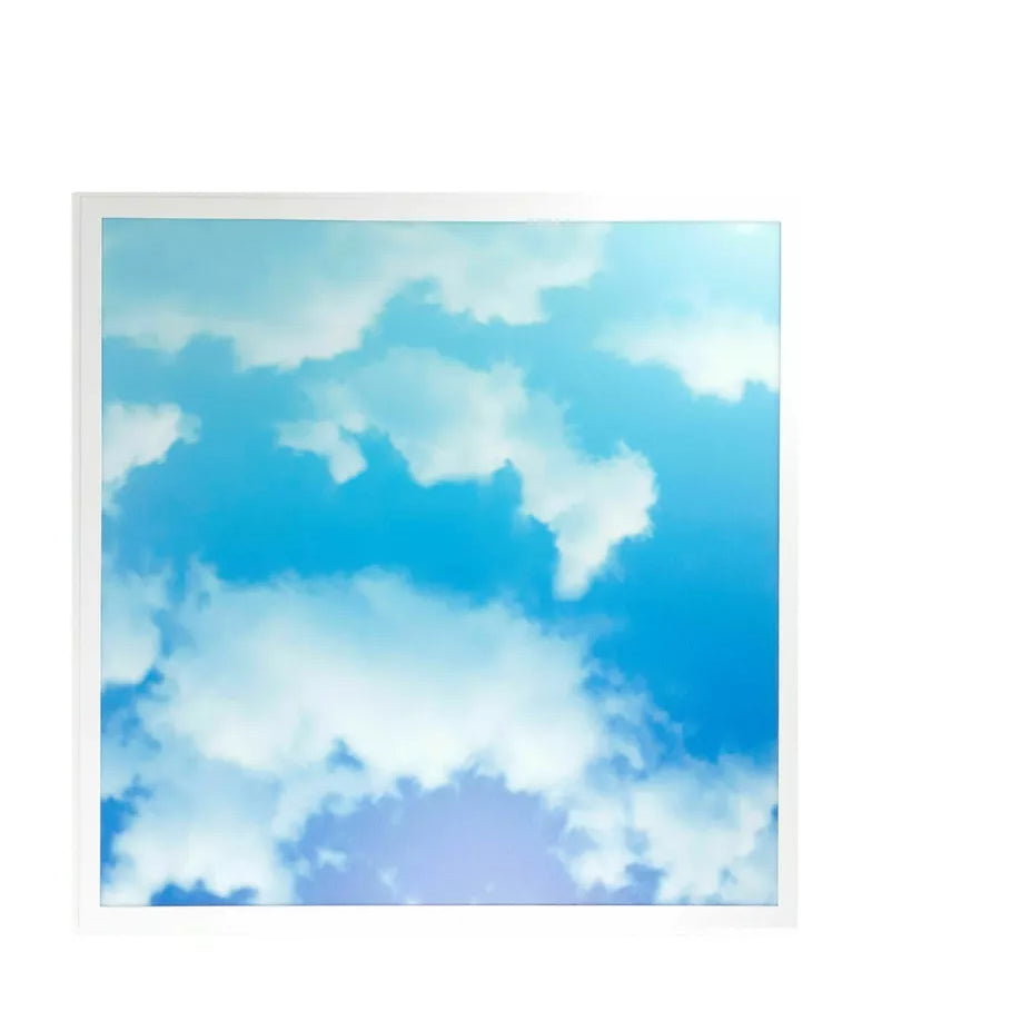 s-l960_6_4064dbe8-bc82-4e49-ae3e-b89c4001a370.webp