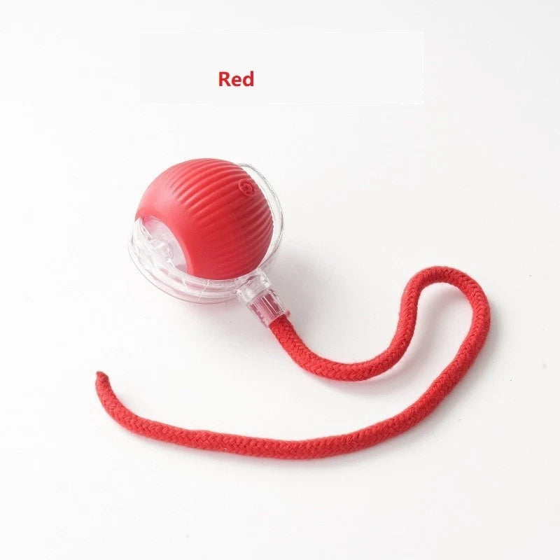 Interactive Rolling Ball for Dogs & Cats – Automatic Smart Pet Toy, Anxiety Relief